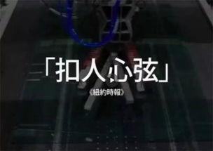 美国工厂爆料视频,揭秘生产线真实状况