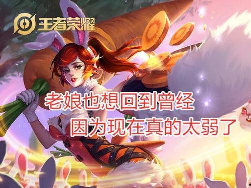王者爆料花姐视频下载,独家下载攻略大公开