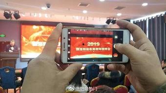 洛阳信息港爆料事件视频,揭秘背后真相