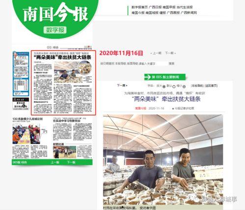 广西新闻爆料媒体有哪些,多渠道见证地方动态