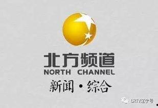 辽宁卫视媒体爆料新闻,重大新闻事件深度解析