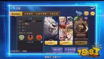 天天爆料技能介绍大全视频
