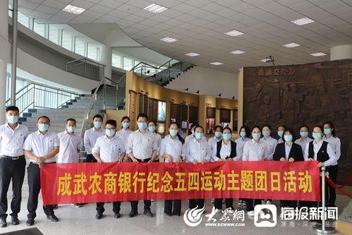 最新新闻爆料成武,揭秘背后真相与影响