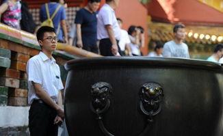 台湾文物爆料视频大全下载,视频大全下载背后的历史故事