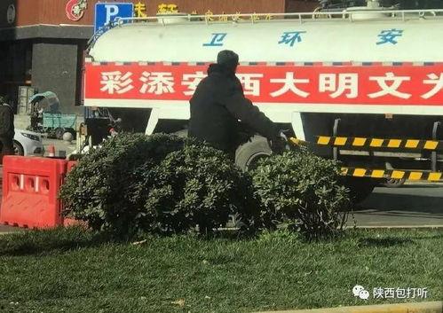 陕西今日爆料,聚焦热点事件，揭秘幕后真相
