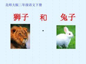 兔子狮子爆料视频大全播放