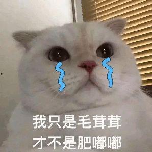 娱乐吃瓜扎心文案短句搞笑,娱乐吃瓜界的扎心搞笑短句大盘点
