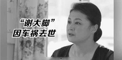 吃瓜娱乐圈邓超,吃瓜娱乐圈，笑谈人生百态
