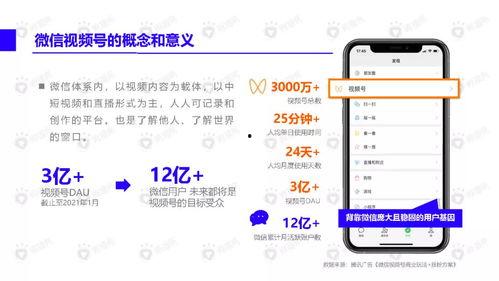 托尔小课堂爆料视频下载,揭秘视频下载背后的秘密