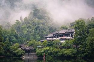 青城山养老爆料事件视频,揭开养老院背后的惊人真相