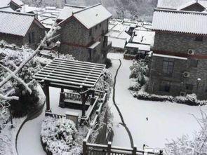 青城山养老爆料事件视频,揭开养老院背后的惊人真相