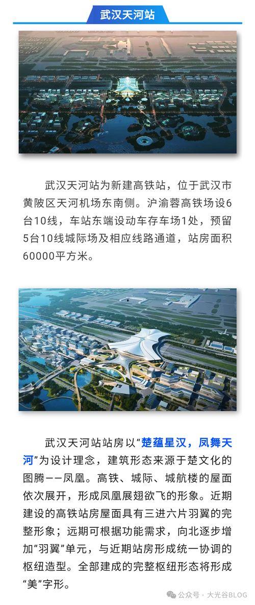 武汉头条最新爆料,揭秘重大事件背后真相