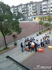 杭州小学最新爆料新闻,揭秘校园里的那些事儿