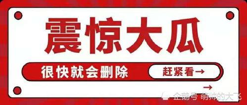 娱乐圈八卦吃瓜大全链接,吃瓜大全链接，带你领略明星幕后故事
