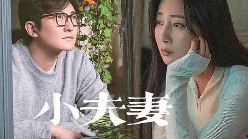 网红爆料夫妻吵架视频,网红视频引发网友热议