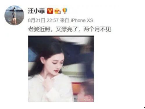 爆料娱乐圈夫妇是谁,揭秘明星夫妻背后的故事