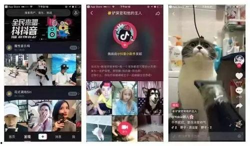 抖音娱乐新闻爆料直播间,明星幕后故事大揭秘！
