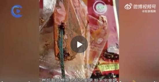 重庆蒋女士最新爆料,揭秘事件背后惊人真相