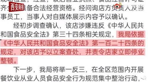 青瓜最新爆料视频大全,揭秘娱乐圈幕后真相