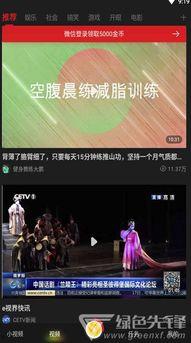 青瓜最新爆料视频大全,揭秘娱乐圈幕后真相