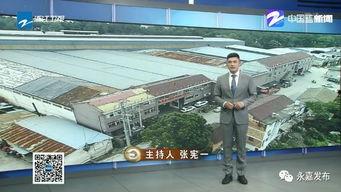浙江卫视今日聚焦爆料,揭秘背后惊人真相