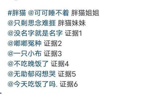 胖猫最新爆料新闻,最新爆料新闻背后的真相与内幕