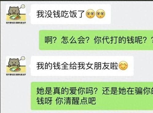 胖猫最新爆料新闻,最新爆料新闻背后的真相与内幕