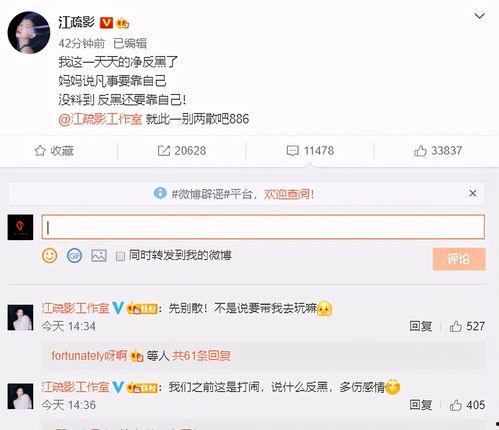 评论区娱乐爆料,揭秘明星幕后趣闻