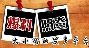 海口新闻爆料有哪些地方,聚焦城市热点与民生动态