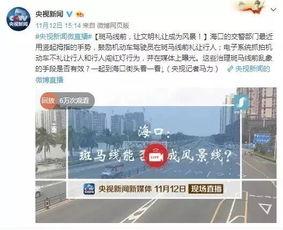 海口新闻爆料有哪些地方,聚焦城市热点与民生动态