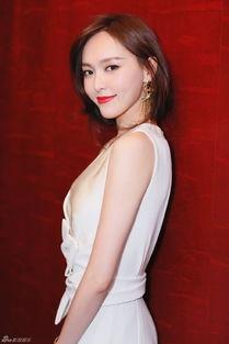 张晓峰爆料英语视频大全,揭秘英语学习新视角