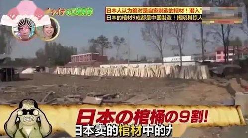 曹县热点爆料事件视频最新,揭秘最新事件背后的真相与争议