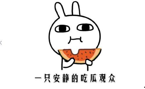 娱乐吃瓜酱主观厌恶定律,揭秘那些让我反感的明星八卦