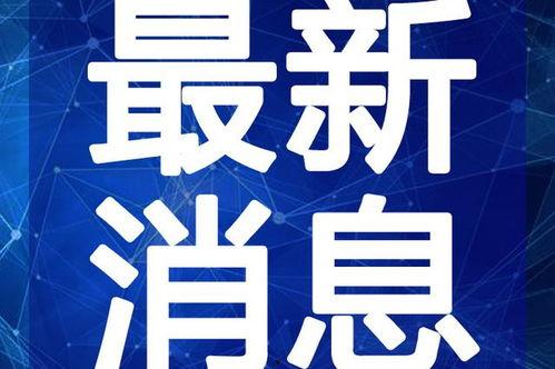 陈晨最新爆料消息新闻视频,最新新闻视频揭秘事件真相