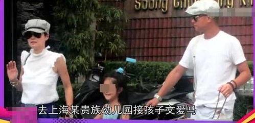 向太娱乐圈爆料,揭秘明星幕后故事