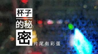 苏州饭店爆料视频播放,揭秘酒店内部惊人真相