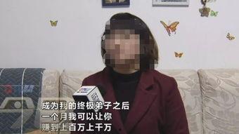 一夜暴富爆料视频大全集,视频大全集深度解析