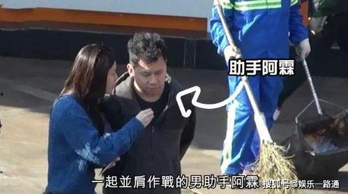 富豪助理爆料黑料视频在线观看,一场豪门背后的权力较量