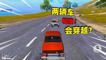 迈在线观看,探索数字时代的观影新体验