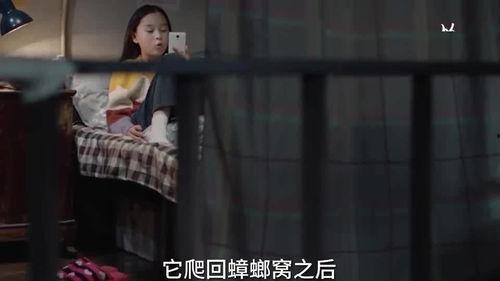 苏宁小姐姐爆料视频播放,揭秘幕后精彩瞬间