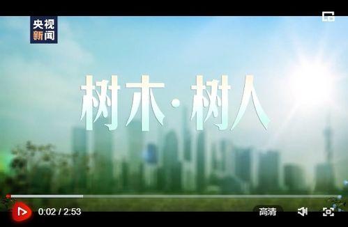 爆料树人改造视频,揭秘神秘视频背后的惊人真相