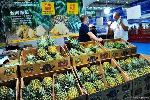 凤梨爆料视频大全最新,揭秘娱乐圈幕后真相