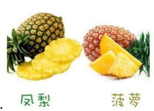 凤梨爆料视频大全最新,揭秘娱乐圈幕后真相