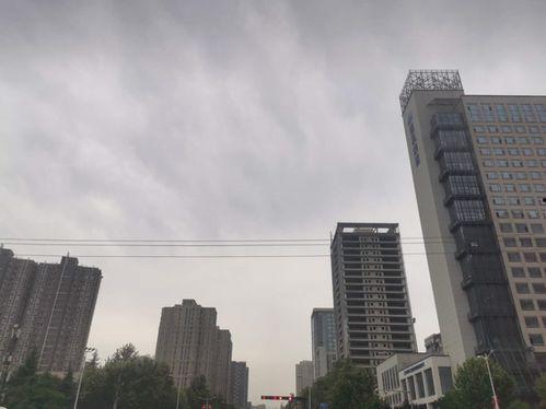 陕西保障房爆料案件最新,揭开背后利益链的真相