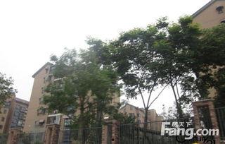 元氏龙湖湾小区最新爆料,揭秘神秘项目进展与周边配套升级