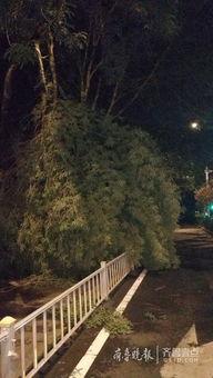 狂风骤雨最新爆料新闻,揭秘事件背后惊人真相