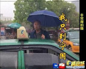 南川出租车最新爆料消息,揭秘价格调整与行业动态！