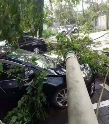 海南最新事件爆料,揭秘神秘事件背后的真相