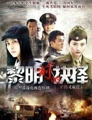 黎明前的抉择电视剧全集在线观看,揭秘革命年代的生死抉择与信仰坚守