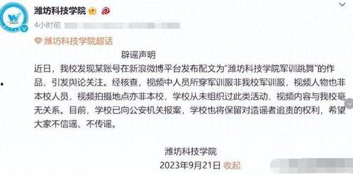 潍坊爆料原版视频免费,原版视频免费观看，揭秘事件真相
